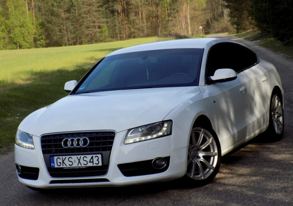 Audi A5 cena 43999 przebieg: 210000, rok produkcji 2011 z Kościerzyna małe 742